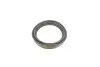 Ремкомплект супорта (переднього) Ford Escort 90-95 (d=60mm) (Ate) (+поршень) FRENKIT (260909) зображення 10