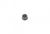 Ремкомплект супорта (переднього) BMW 1 (F40) 19- (d=54mm)(TRW)(+1 поршень/направляюча) SuperKit FRENKIT (754408) зображення 2
