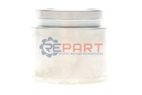 Фото Поршень тормозного суппорта FRENKIT (P423501) изображение 1