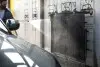 FroGum (FRGDZ405981) зображення 11