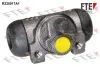 Тормозной цилиндрик FTE (R220017A1) изображение 1