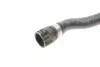 Фото Шланг гумовий системи охолодження (22мм/22мм) BMW 5 (E39), 7 (E38) 2.0-3.0 08.95-05.04 Gates (021751) зображення 5