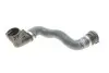 Патрубок радіатора (нижній) BMW X3 (E83) 2.5/3.0 03-06 M54 Gates (052835) зображення 1