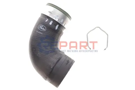 Фото 1 — Патрубок интеркулера (верхний) (R) VW Caddy III 1.9/2.0TDI Gates (090286C) Фото Патрубок интеркулера (верхний) (R) VW Caddy III 1.9/2.0TDI Gates (090286C) изображение 1