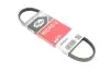 Ремінь генератора Lifan 520/620 1.6 06- Gates (3PK545) зображення 2