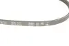 Ремень клиновый Renault Kangoo 1.2i 01- Gates (3PK753) изображение 4