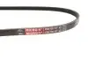 Фото Ремінь генератора Fiat Doblo 1.4 10 Gates (3PK856SF) зображення 3