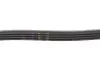 Фото Поліклиновий ремінь (4PK1022) Gates (4PK1022SF) зображення 3