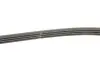 Фото Поліклиновий ремінь Gates (4PK1100) зображення 3