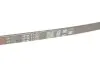 Фото Поліклиновий ремінь Gates (4PK1100) зображення 4