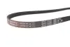 Фото Поліклиновий ремінь (4PK1102) Gates (4PK1102SF) зображення 4
