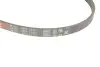 Фото Поліклиновий ремінь Gates (4PK1210) зображення 4