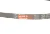 Фото Поліклиновий ремінь Gates (4PK1210) зображення 5
