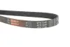 Фото Поліклиновий ремінь Gates (4PK1240) зображення 3