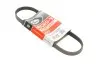 Фото Поліклиновий ремінь (4PK705) FORD FOCUS III 2.0 07.10-02.20 Gates (4PK705SF) зображення 1