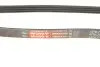 Фото Поліклиновий ремінь (4PK705) FORD FOCUS III 2.0 07.10-02.20 Gates (4PK705SF) зображення 5