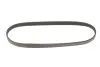Фото Поліклиновий ремінь (4PK711) Gates (4PK711VSF) зображення 5