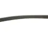 Фото Поликлиновый ремень Gates (4PK750) изображение 3