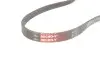 Поліклиновий ремінь Gates (4PK773) зображення 3