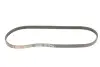 Поліклиновий ремінь (4PK843) Gates (4PK843SF) зображення 5