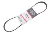 Фото Поликлиновый ремень Gates (4PK923) изображение 2