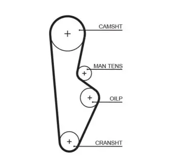 Ремінь ГРМ FIAT REGATA HONDA ACCORD II, ACCORD III, CIVIC VI, PRELUDE II 1.4-2.0 09.83-02.01 Gates 5082XS Купити в Україні