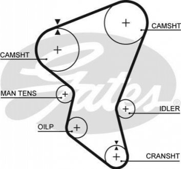 Ремінь ГРМ Gates 5171XS (фото 1)