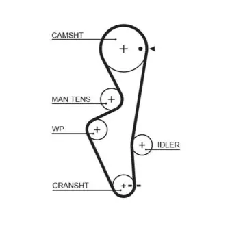 Фото Зубчастий ремінь Gates (5430XS) зображення 1