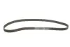 Фото Ремінь ГРМ CHEVROLET CAPTIVA, VECTRA DAEWOO LEGANZA ISUZU RODEO OPEL ANTARA A, FRONTERA A, FRONTERA B, OMEGA B, SINTRA, VECTRA B 2.2/2.4/2.4LPG 03.95 Gates (5461XS) зображення 2