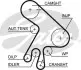 Фото Ремінь ГРМ TOYOTA AVENSIS, AVENSIS VERSO, COROLLA, COROLLA VERSO, PREVIA II, RAV 4 II 2.0D 10.99-03.09 Gates (5562XS) зображення 2