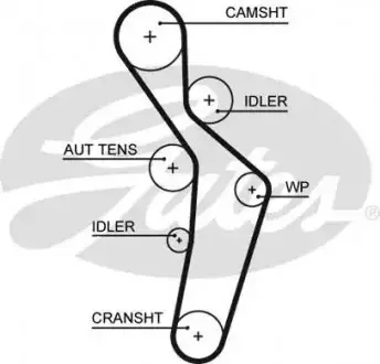 Ремінь ГРМ AUDI A3, A4 B6 VW GOLF V, TOURAN 2.0 07.02-11.08 Gates 5616XS Купити в Україні