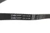 Фото Ремінь ГРМ ALFA ROMEO 147, 156, 159, 166, BRERA, GIULIETTA, GT, SPIDER CADILLAC BLS CHEVROLET MALIBU FIAT 500X, BRAVO II, CROMA, DOBLO, DOBLO CARGO, DUCATO, FREEMONT 1.9D/2.0D/2.4D 05.01 Gates (5623XS) зображення 2