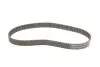 Фото Ремінь ГРМ BYD F3 CHEVROLET AVEO / KALOS, MATIZ DAEWOO KALOS, MATIZ MITSUBISHI CARISMA, COLT V, LANCER CARGO, LANCER VII, MIRAGE V, SPACE STAR 1.0-1.6 09.95 Gates (5687XS) зображення 2