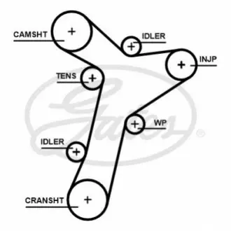 Ремінь ГРМ AUDI A3, A3 ALLSTREET, A4 ALLROAD B9, A4 B9, A5, A6 ALLROAD C8, A6 C8, A7, Q2, Q3, Q5 CUPRA FORMENTOR, LEON, LEON SPORTSTOURER FORD TOURNEO CONNECT V761 2.0D/2.0DH 08.14 Gates 5695XS Купити в Україні
