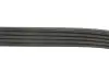 Фото Ремінь генератора Ford Escort 1.8 D 90-00 Gates (5PK1013) зображення 4