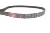 Фото Поліклиновий ремінь Gates (5PK1113) зображення 4