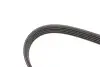 Фото Поліклиновий ремінь Gates (5PK1123) зображення 3