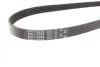 Фото Ремень поликлиновый Gates (5PK1123XS) изображение 3