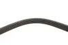 Фото Поліклиновий ремінь Gates (5PK1250) зображення 3