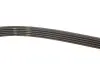 Фото Поліклиновий ремінь Gates (5PK1255) зображення 3