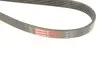 Фото Поліклиновий ремінь Gates (5PK1545) зображення 5