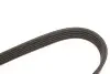 Дорожный пас Gates (5PK1590) изображение 3