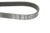 Фото Поліклиновий ремінь Gates (5PK1650) зображення 4