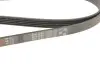 Фото Дорожный пас Gates (5PK1720) изображение 4