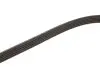 Фото Поліклиновий ремінь Gates (5PK1800) зображення 4