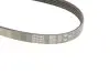 Фото Поліклиновий ремінь Gates (5PK493) зображення 4