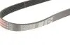 Фото Поліклиновий ремінь (5PK628) Gates (5PK628620SF) зображення 4