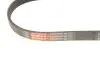 Фото Поликлиновые ремни Micro-V StretchFit (Выр-во) Gates (5PK761SF) изображение 4