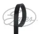 Фото Поликлиновый ремень Gates (5PK788) изображение 1