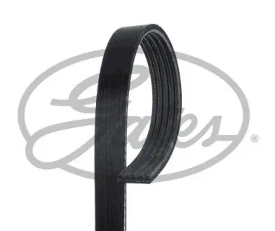 Поліклиновий ремінь Gates 5PK788 Купити в Україні